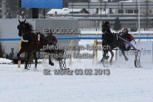 ET0Q0396a prot